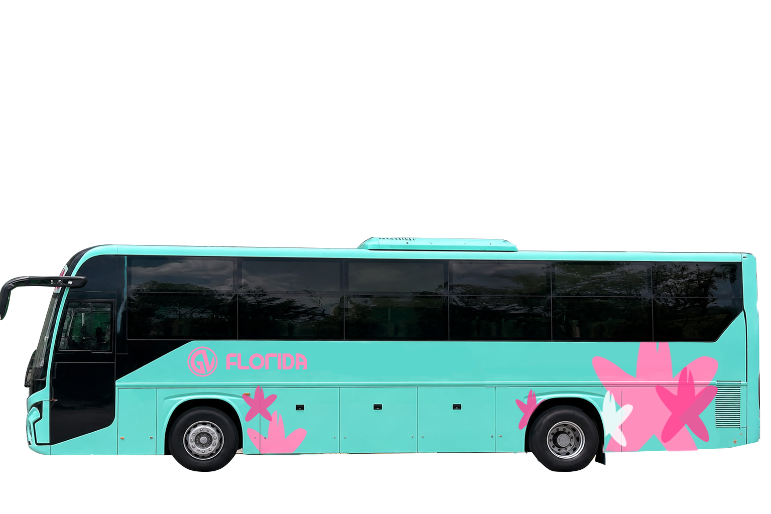 bus